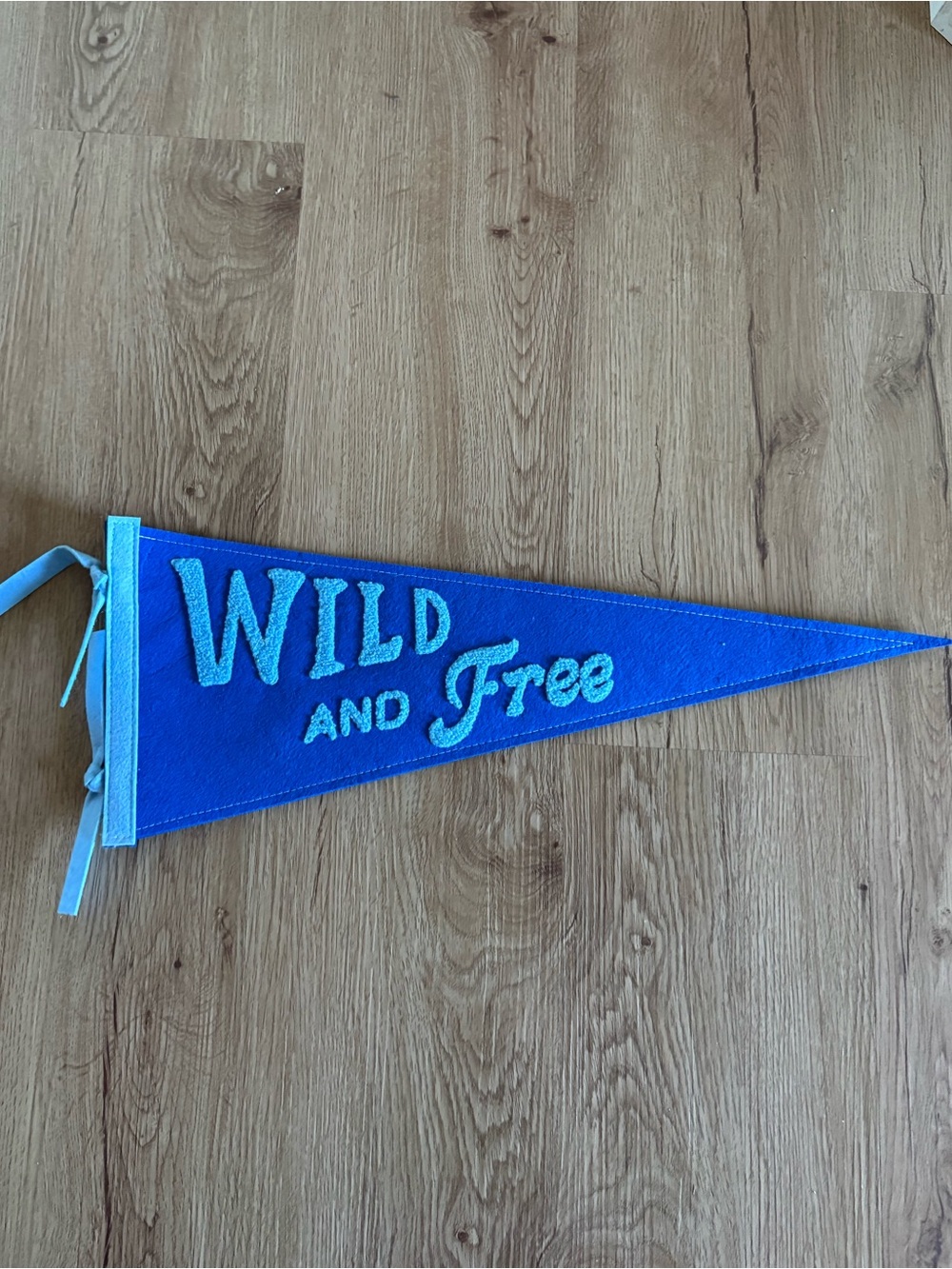 Wild and Free Blue Kids Pennant Flag